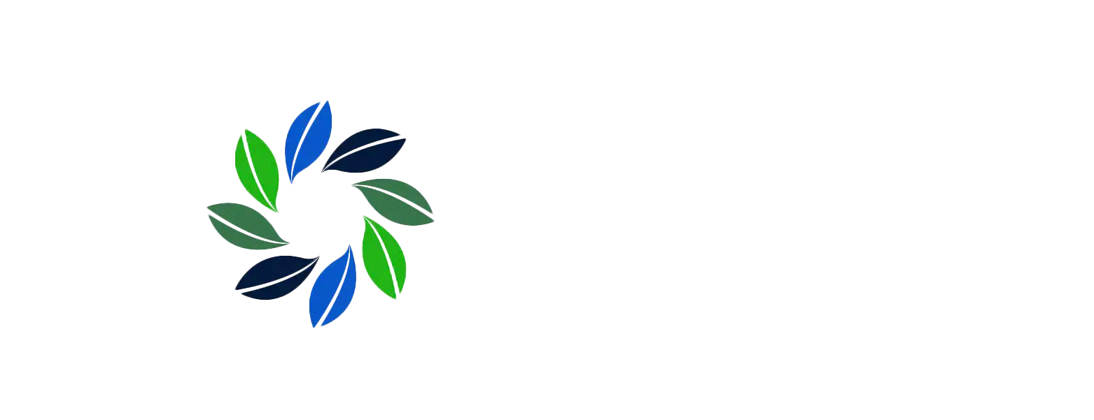 Savi Studio